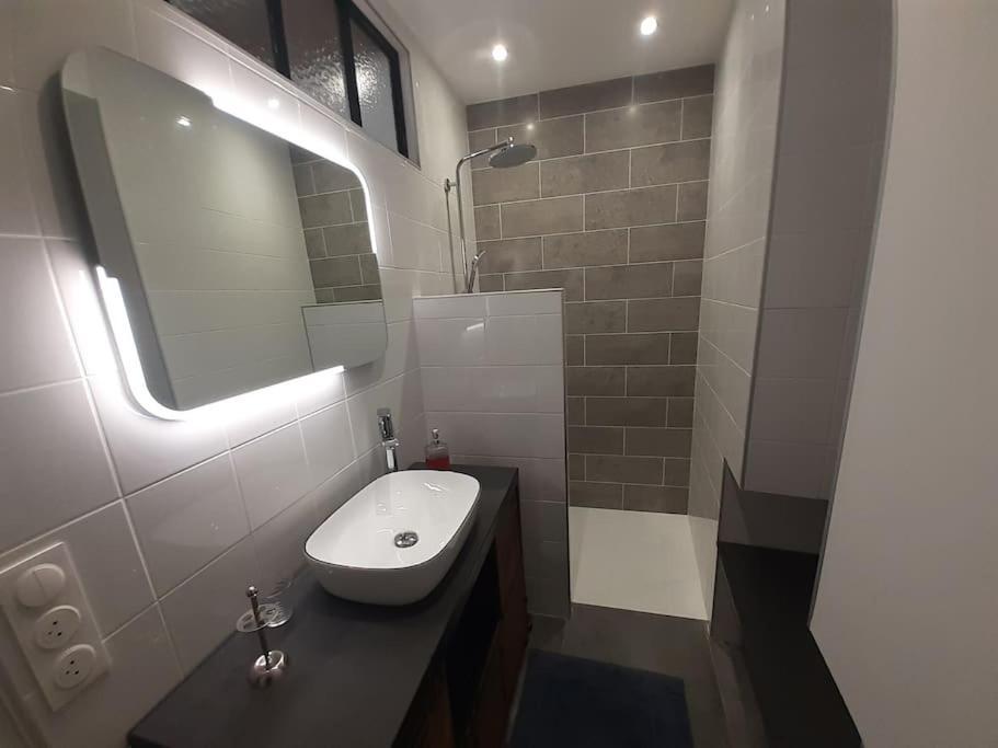Classe 4 Etoiles - Cybele - Centre Ville 2 Chambres, Cour Privative Et Garage Vienne  Esterno foto